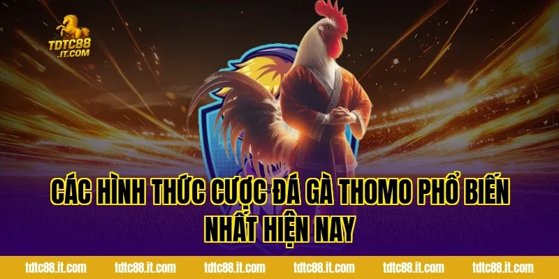 Đá Gà Thomo – Trường Gà Nổi Tiếng Campuchia Cho Tân Thủ 2 Các hình thức cược đá gà Thomo phổ biến nhất hiện nay