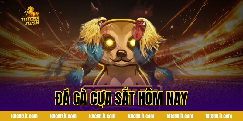 Đá Gà Cựa Sắt Hôm Nay – Thông Tin Và Nhận Định Hot 13 da ga cua sat hom nay 1065