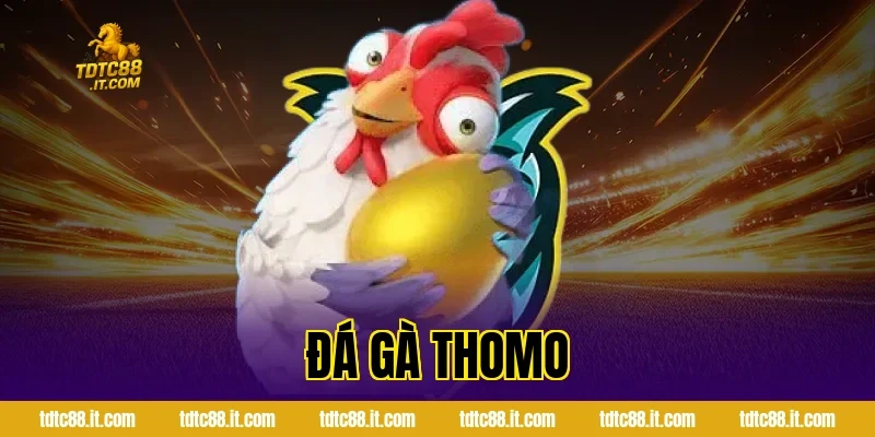Đá Gà Thomo – Trường Gà Nổi Tiếng Campuchia Cho Tân Thủ 12 da ga thomo 1064