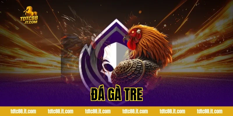 Đá Gà Tre – Đặc Điểm Và Kinh Nghiệm Chọn Gà Hiệu Quả 12 da ga tre 1062