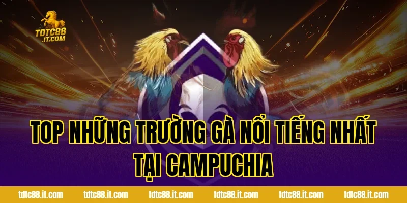 Đá Gà Campuchia – Trường Gà Nổi Tiếng Và Luật Chơi 2 Top Những Trường Gà Nổi Tiếng Nhất Tại Campuchia