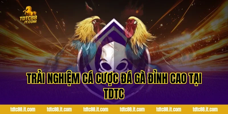 Đá Gà Campuchia – Trường Gà Nổi Tiếng Và Luật Chơi 4 Trải Nghiệm Cá Cược Đá Gà Đỉnh Cao Tại TDTC
